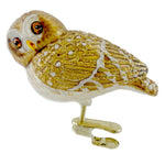 Old World Christmas 2.0 Pygmy Owl Glass Ornament Clip On Bird 18067 (11390)