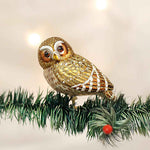 Old World Christmas Pygmy Owl - - SBKGifts.com
