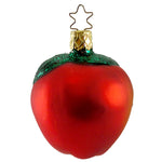 Old World Christmas Wormy Apples - - SBKGifts.com