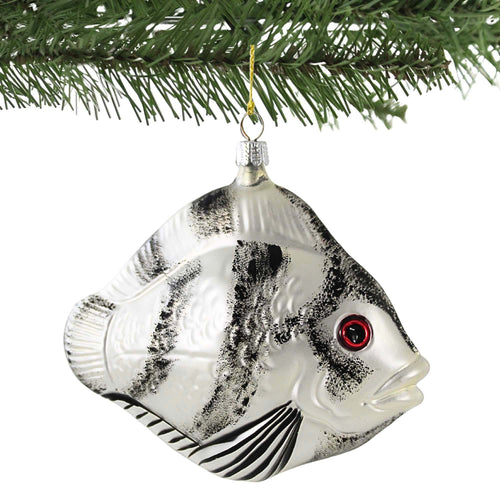 Larry Fraga Designs Angel Fish - - SBKGifts.com