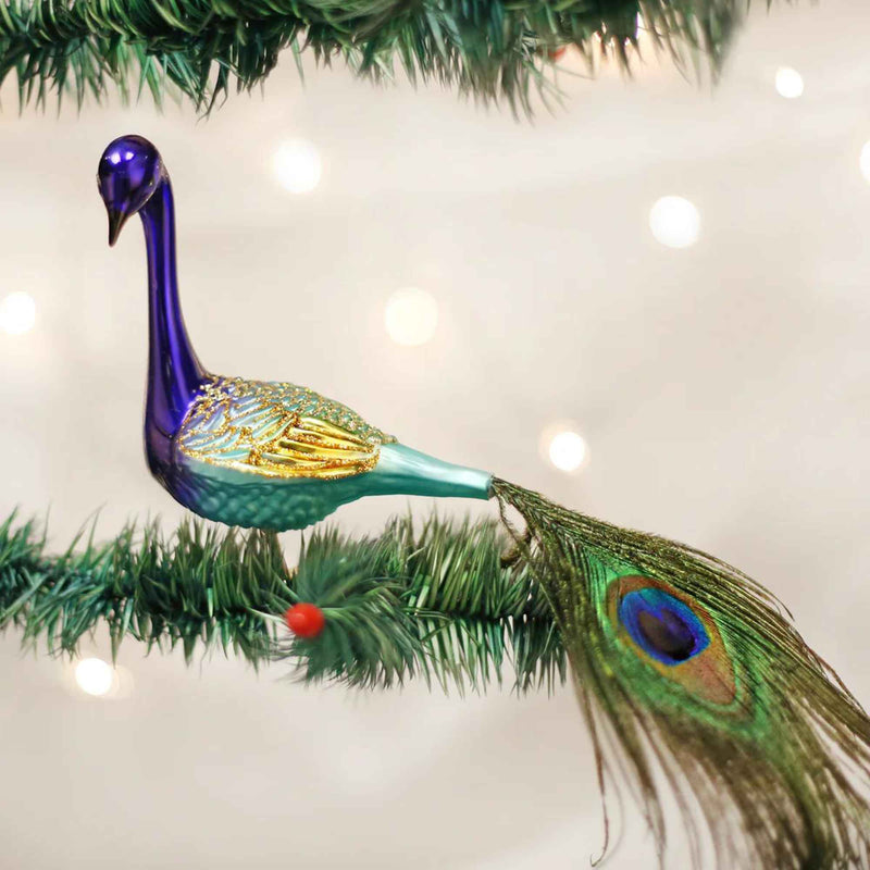 Old World Christmas Magnificent Peacock - - SBKGifts.com