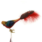 Exotic Parrot - 1.75 Inch, Glass - Ornament Tropical Feather 10159S018 (37397)