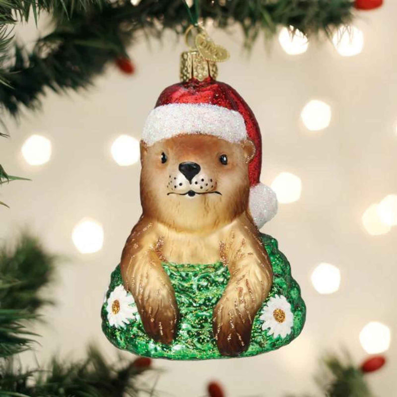 Old World Christmas Santa Groundhog - - SBKGifts.com