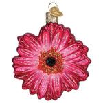Old World Christmas Gerbera Daisy - One Ornament 3.75 Inch, Glass - Joy Cheerful Spring Summer 36324 (59320)