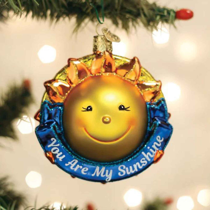 Old World Christmas You Are My Sunshine - - SBKGifts.com