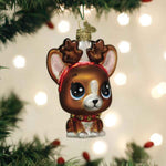 Old World Christmas Littlest Pet Shop Roxie - - SBKGifts.com