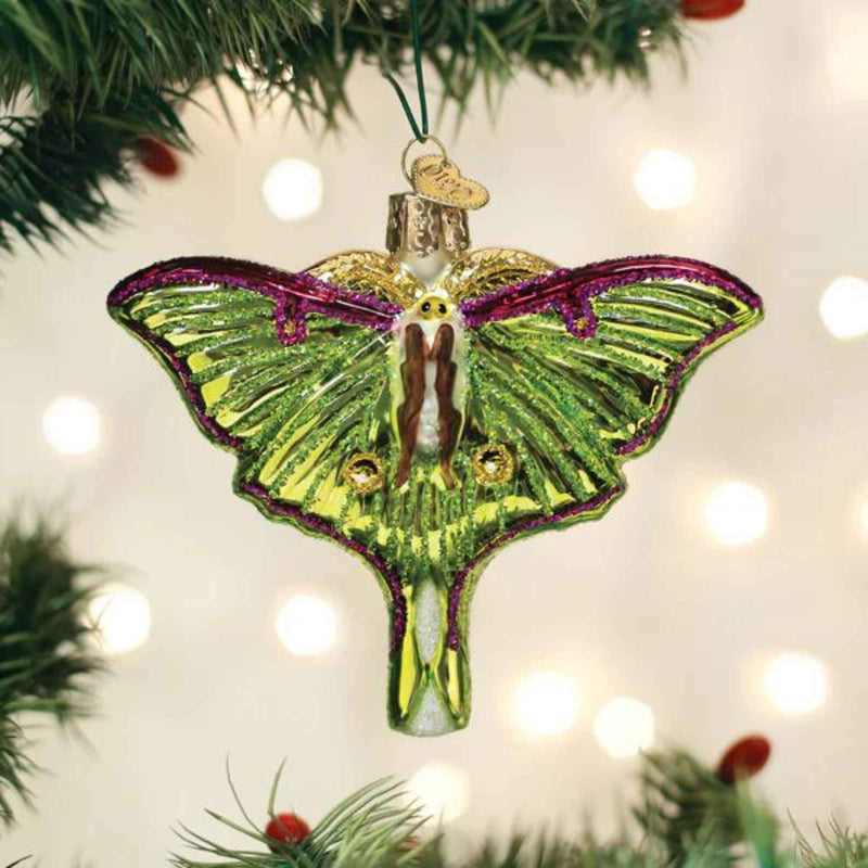 Old World Christmas Luna Moth - - SBKGifts.com