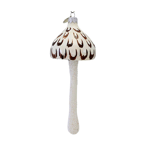 Morawski Brown & White Mushroom - - SBKGifts.com