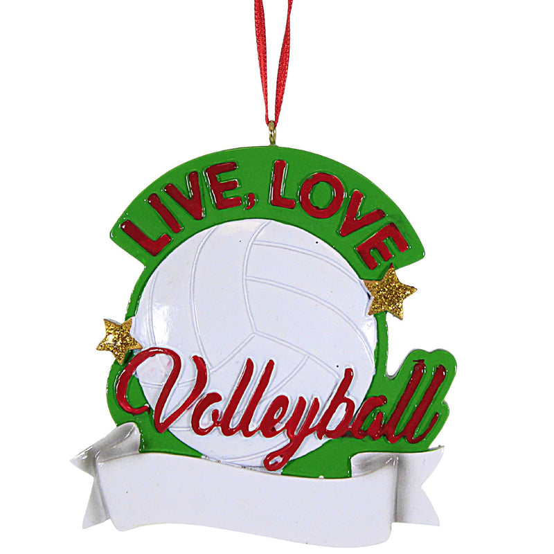 Kurt S. Adler Live, Love Volleyball Ornament - One Ornament 3.5 Inch, Polyresin - White Ball Sports Diy Personalization A2112 (60859)