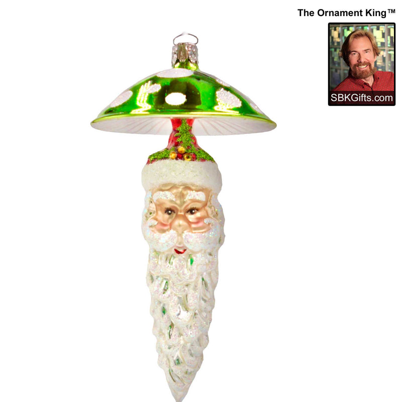 Preorder Hy 24 Luxe Charmer - 1 Glass Ornament Inch, - Mushroom Santa Drop Ornament 24 30385 Green (61216)