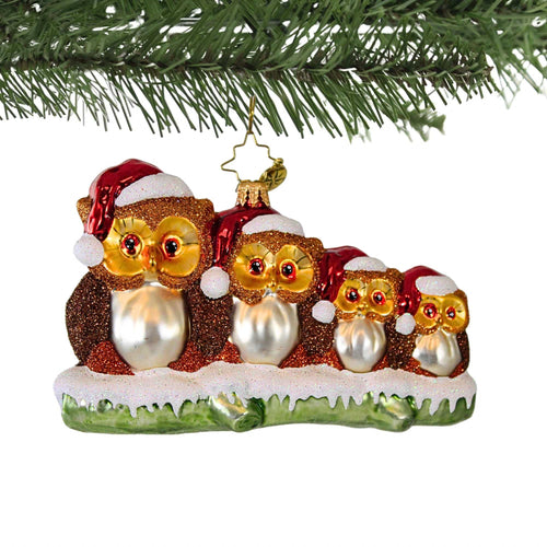 Christopher Radko Company Owl In The Family - - SBKGifts.com