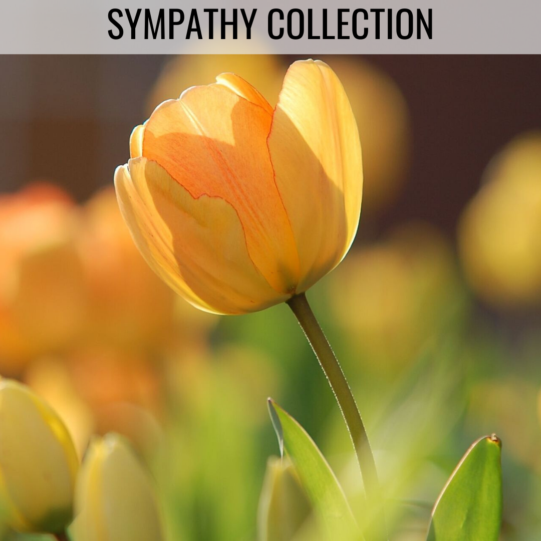 EVENT: Bereavement and Sympathy