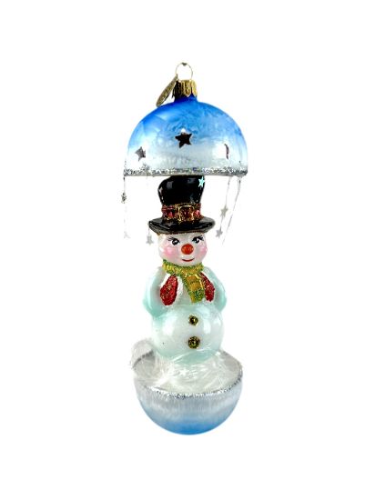 66493 Pre-Order Frosted Winter Daydream 2721