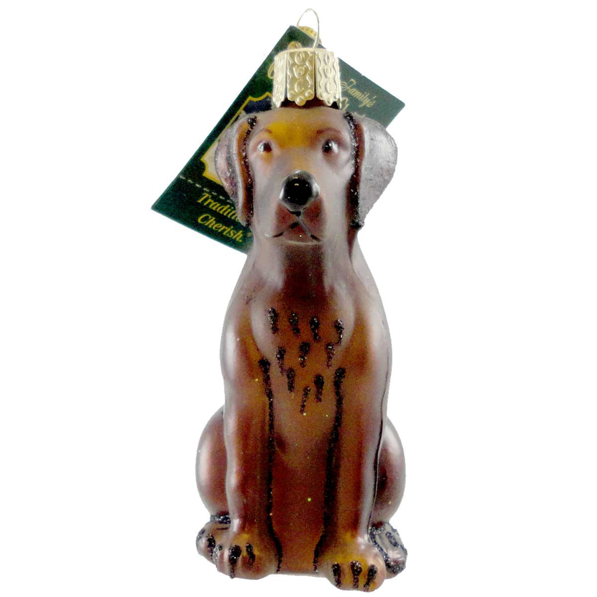(11163) Labrador Retriever Chocolate