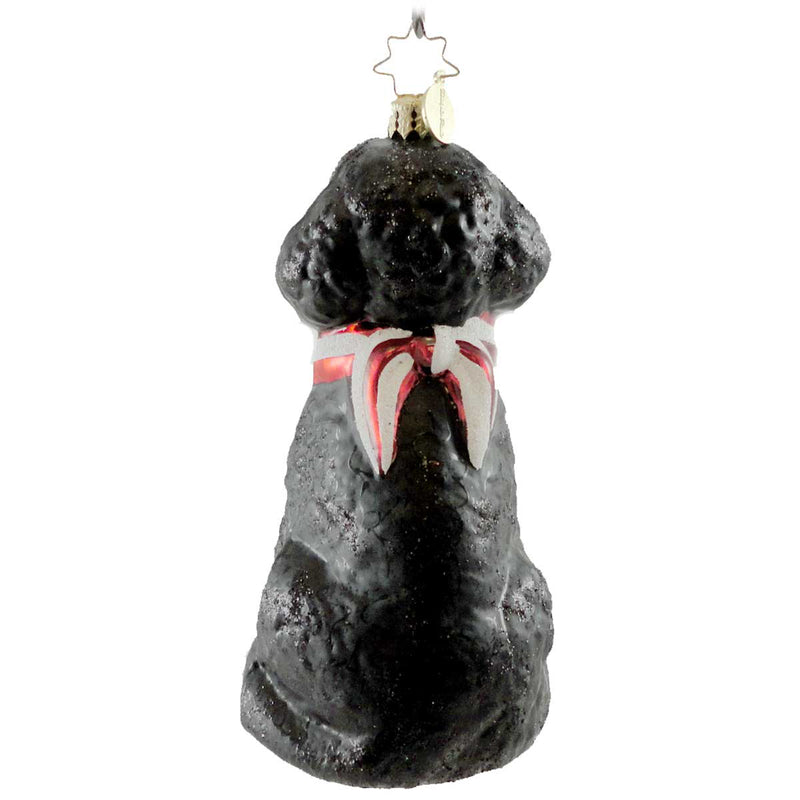 Christopher Radko Patriotic Pooch - - SBKGifts.com
