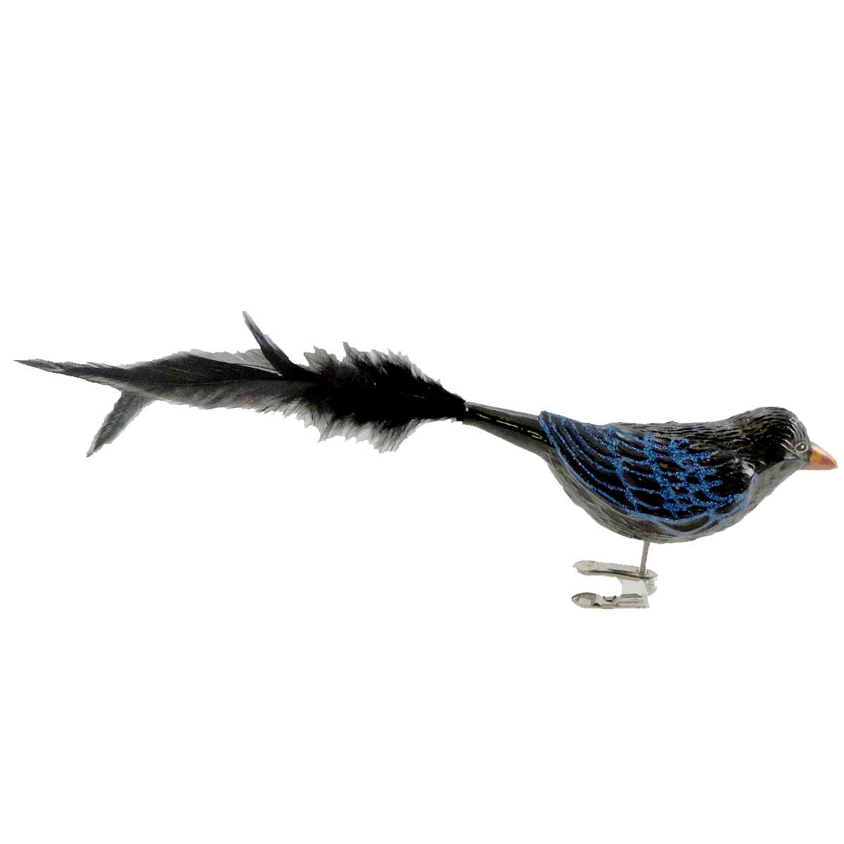 (11556) Raven