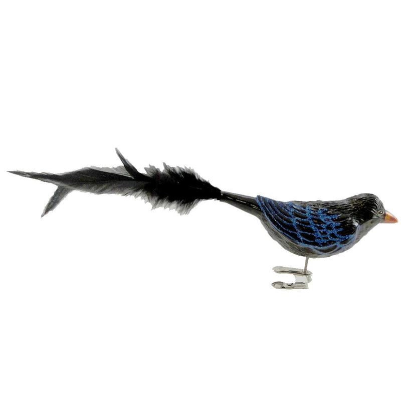 Old World Christmas 3.0 Inches Tall Raven Glass Ornament Halloween Clip On 18019 (11556)