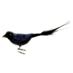 Old World Christmas Raven - - SBKGifts.com