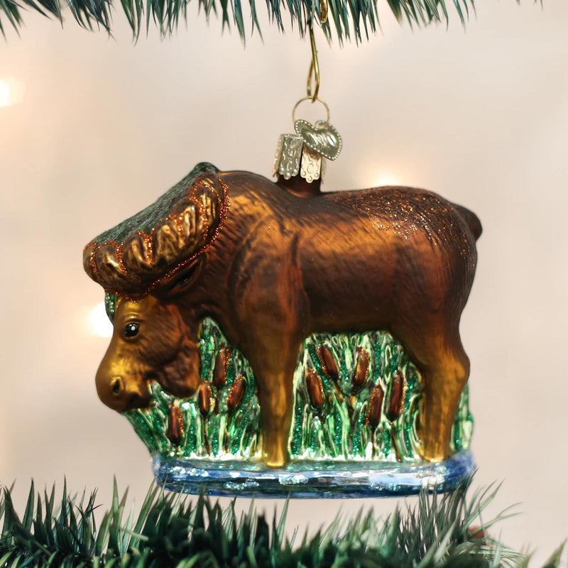 Old World Christmas Munching Moose - - SBKGifts.com