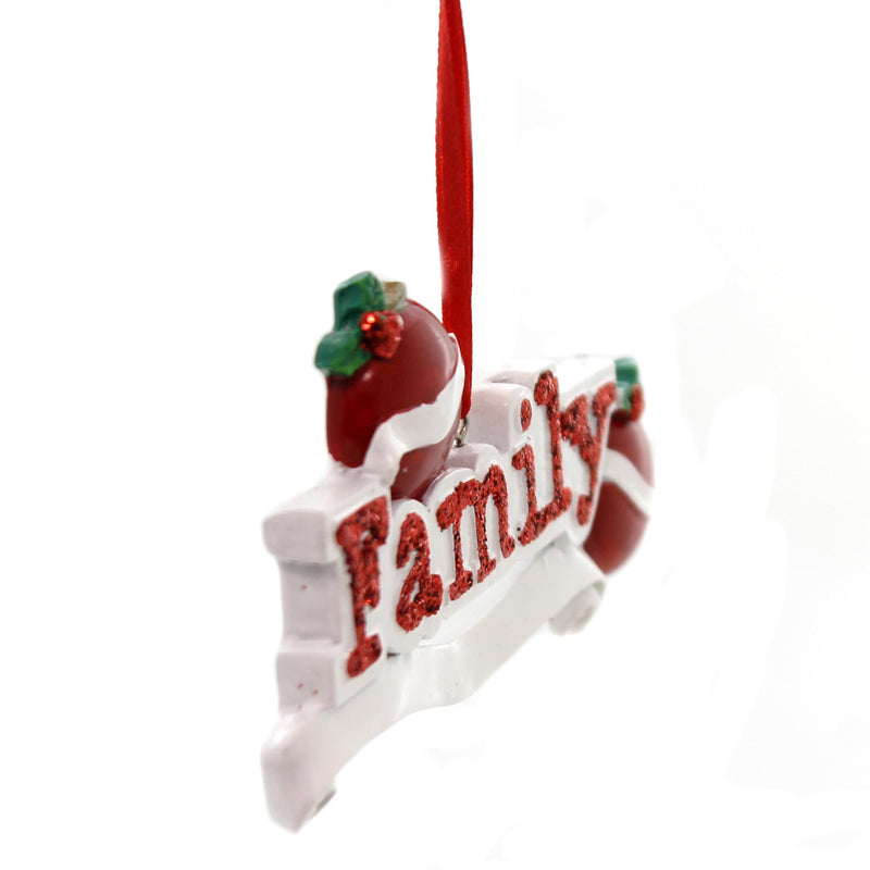 Holiday Ornament Family Of Two Ornament - - SBKGifts.com