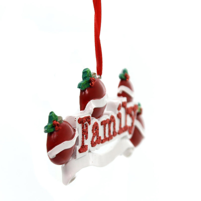 Holiday Ornament Family Of 4 Ornament - - SBKGifts.com
