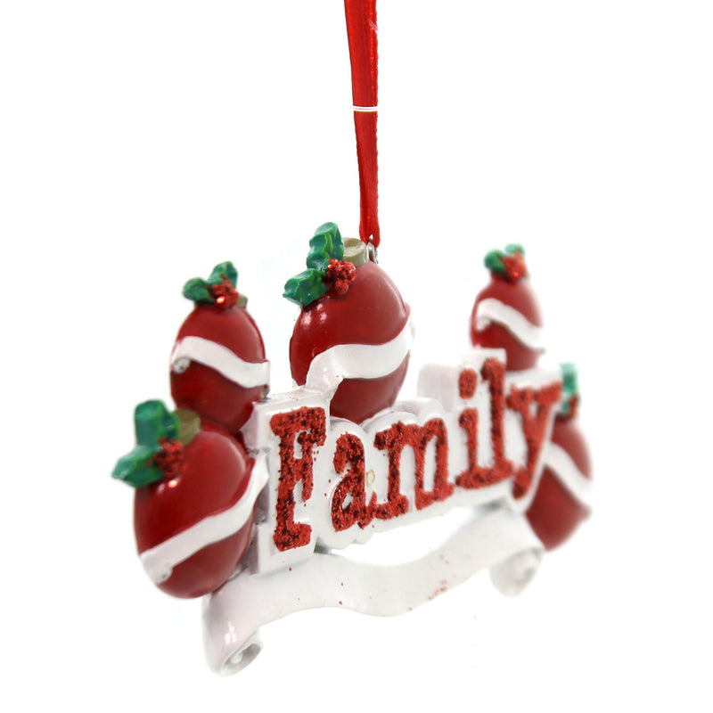 Holiday Ornament Family Of 5 Ornament - - SBKGifts.com