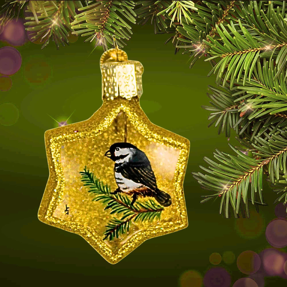 Old World Christmas Star Bird - - SBKGifts.com