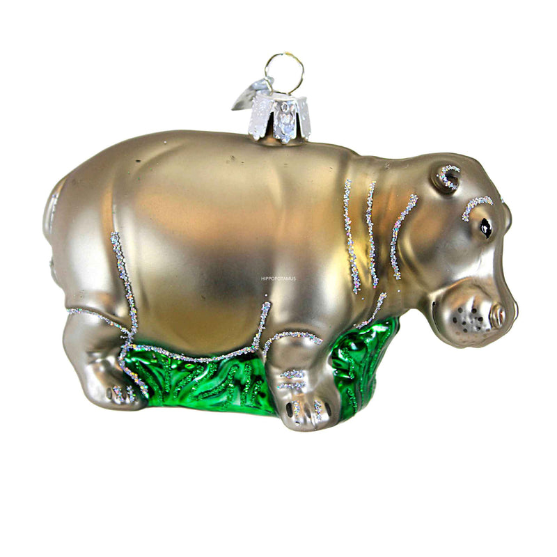 Old World Christmas 2.75 Inch Hippopotamus Glass Ornament Hippo Wildlife 12158 (13397)