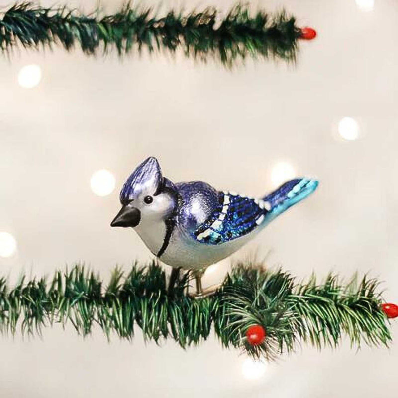 Old World Christmas Bright Blue Jay - - SBKGifts.com