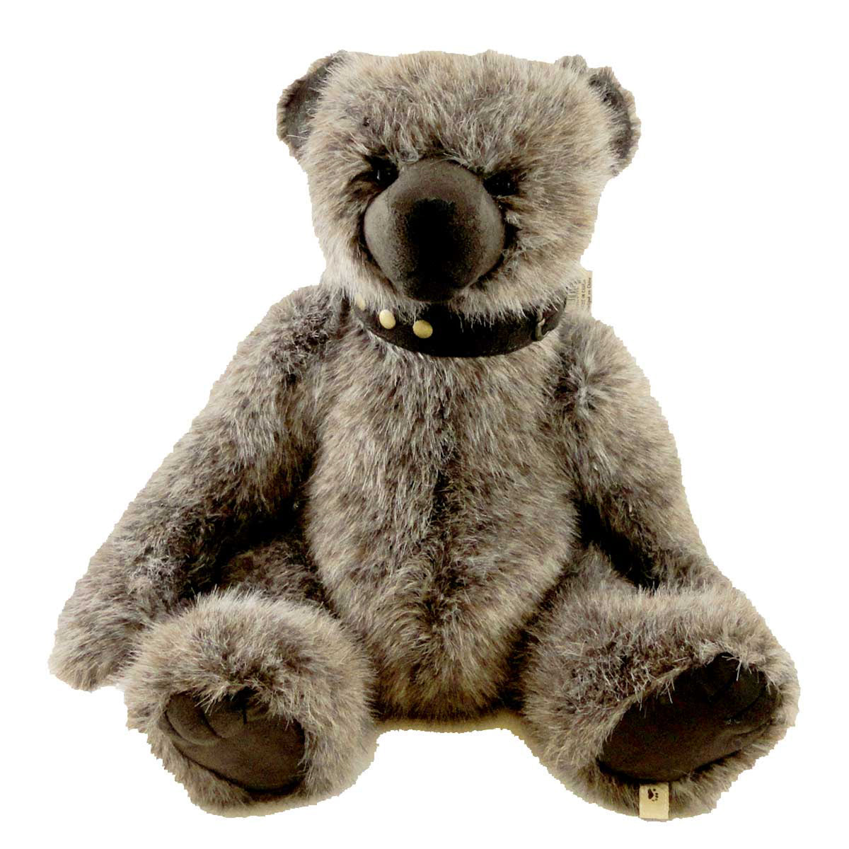 (13555) Buster Mcsuede