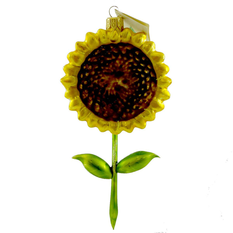 Holiday Ornament Sunflower Ornament Blown Glass Ornament Flower Floral Summer Ha131601 (13631)