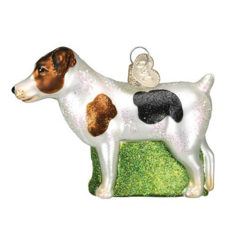 Old World Christmas Jack Russell Terrier - One Ornament 2.5 Inch, Glass - Ornament Dog Mans Best Friend 12218 (15093)