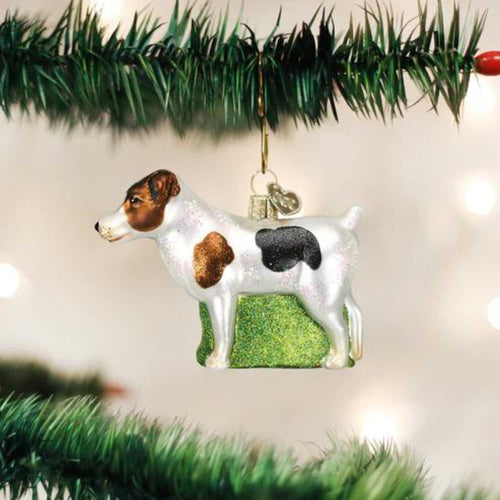 Old World Christmas Jack Russell Terrier - - SBKGifts.com