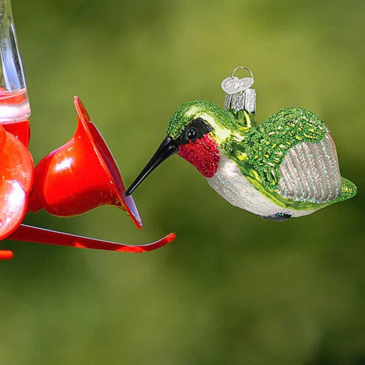 Old World Christmas Hummingbird - - SBKGifts.com
