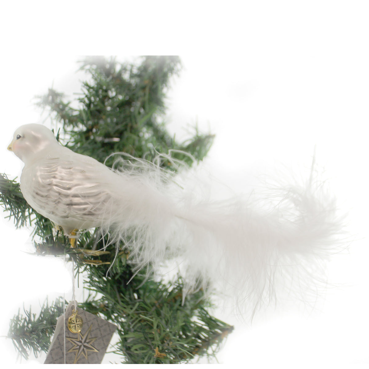 (15805) Delicate Dove