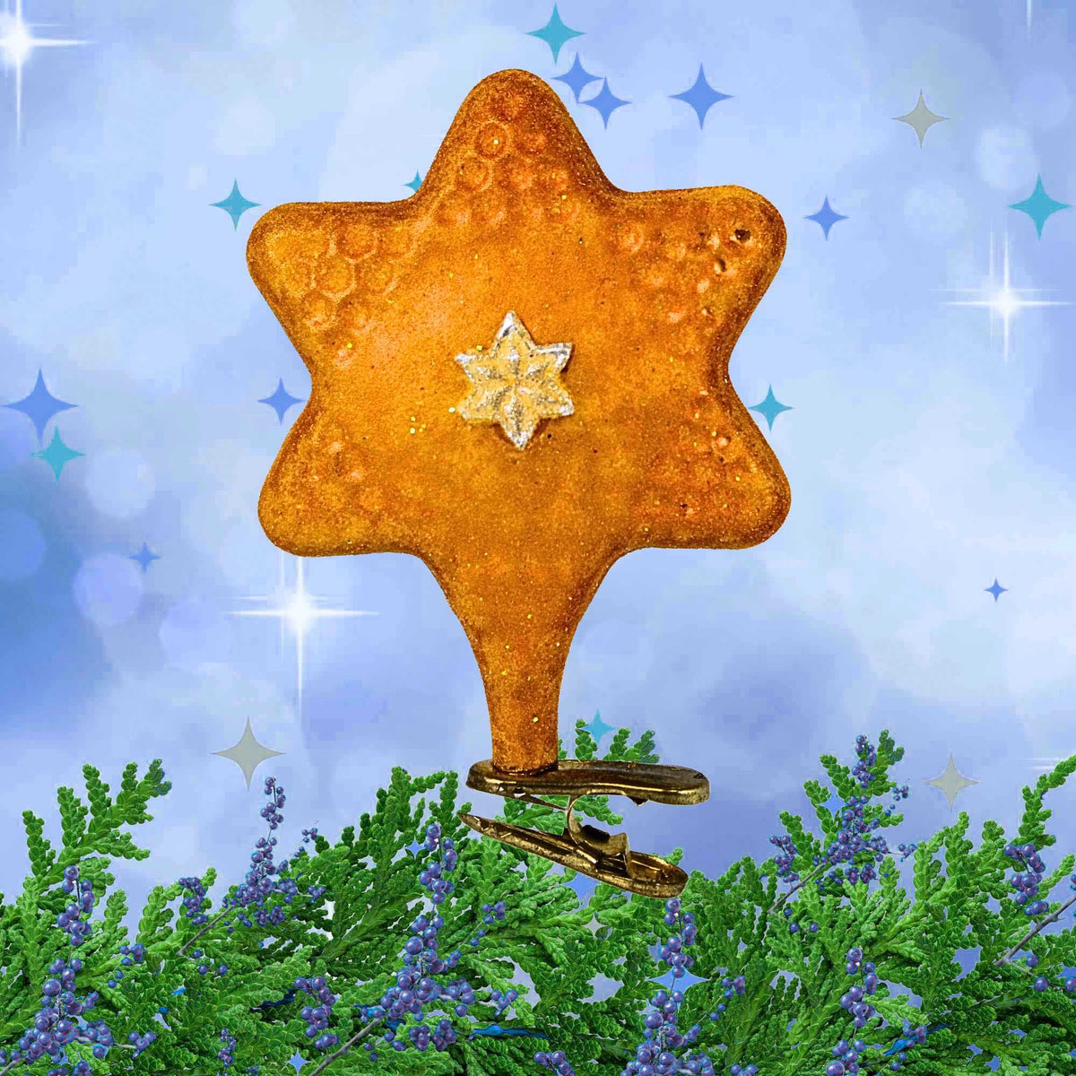 Christopher Radko Dalia's Star Lg - - SBKGifts.com