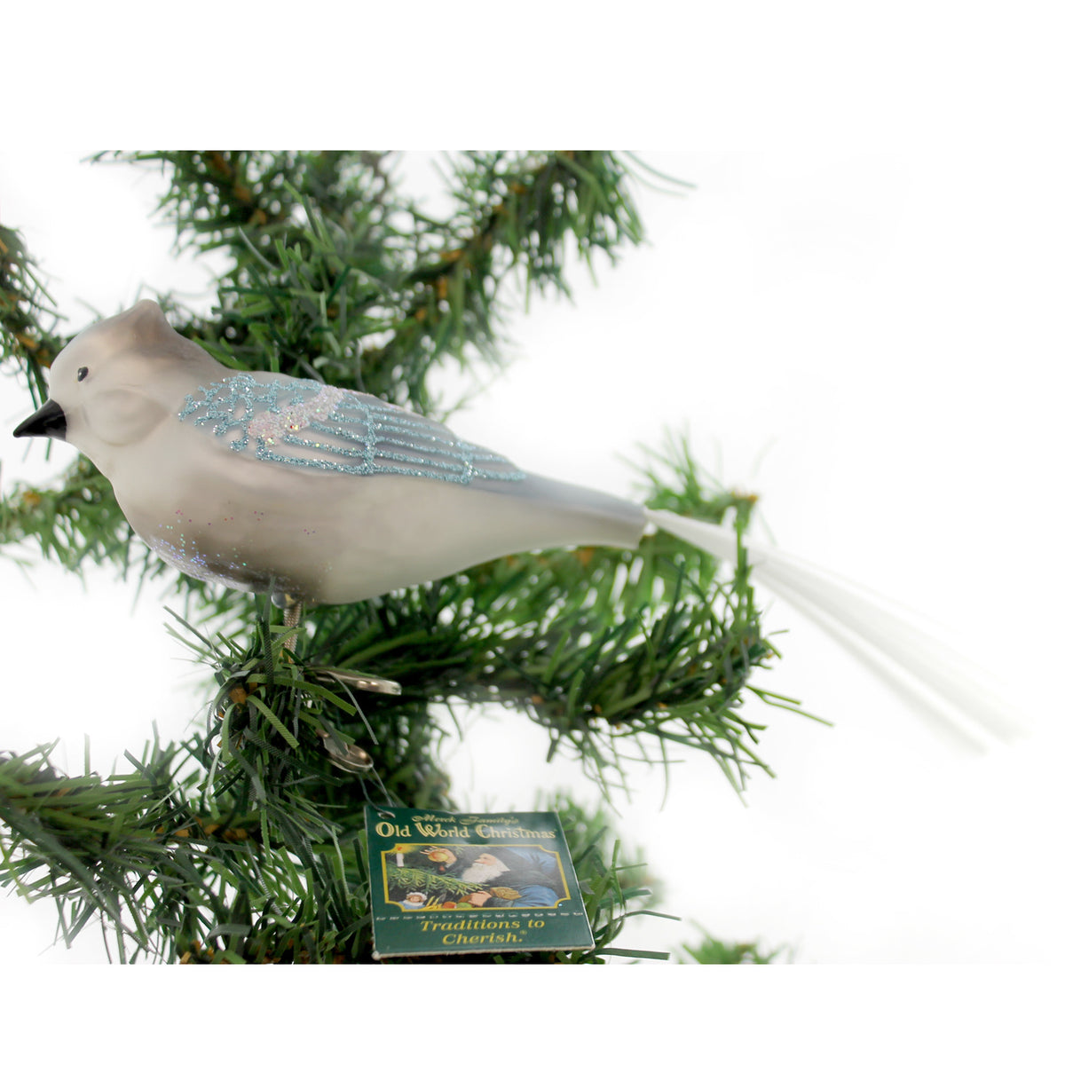 (16232) Blue Jay
