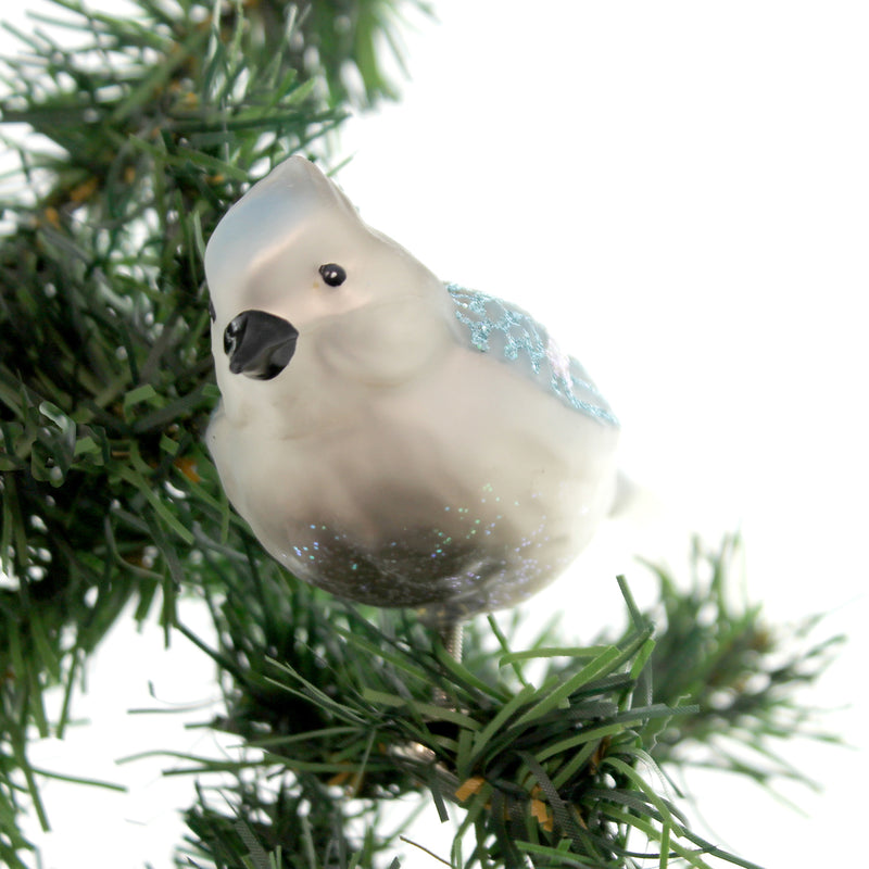 Old World Christmas Blue Jay - - SBKGifts.com