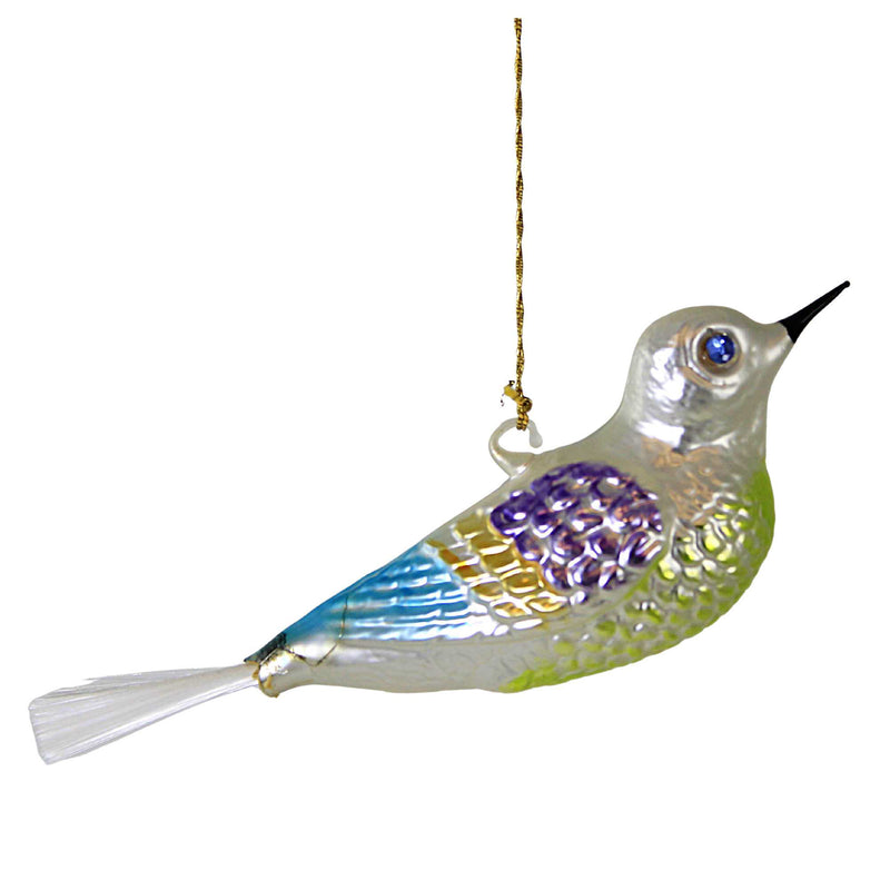 Larry Fraga Bird With Blue Eyes - - SBKGifts.com