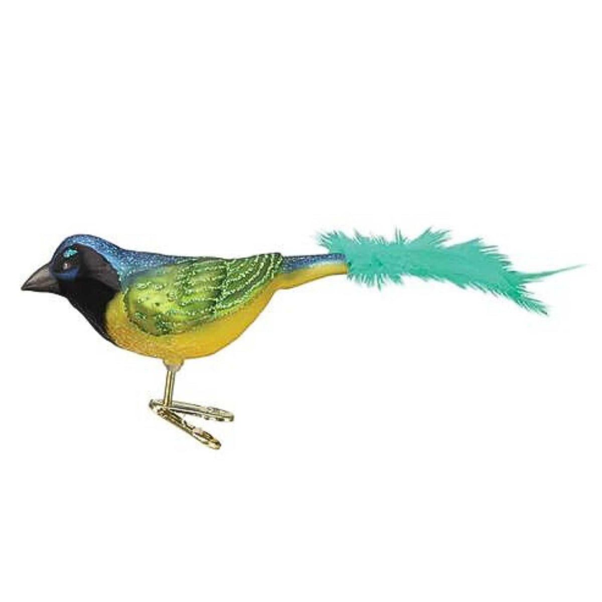 (17549) Green Jay