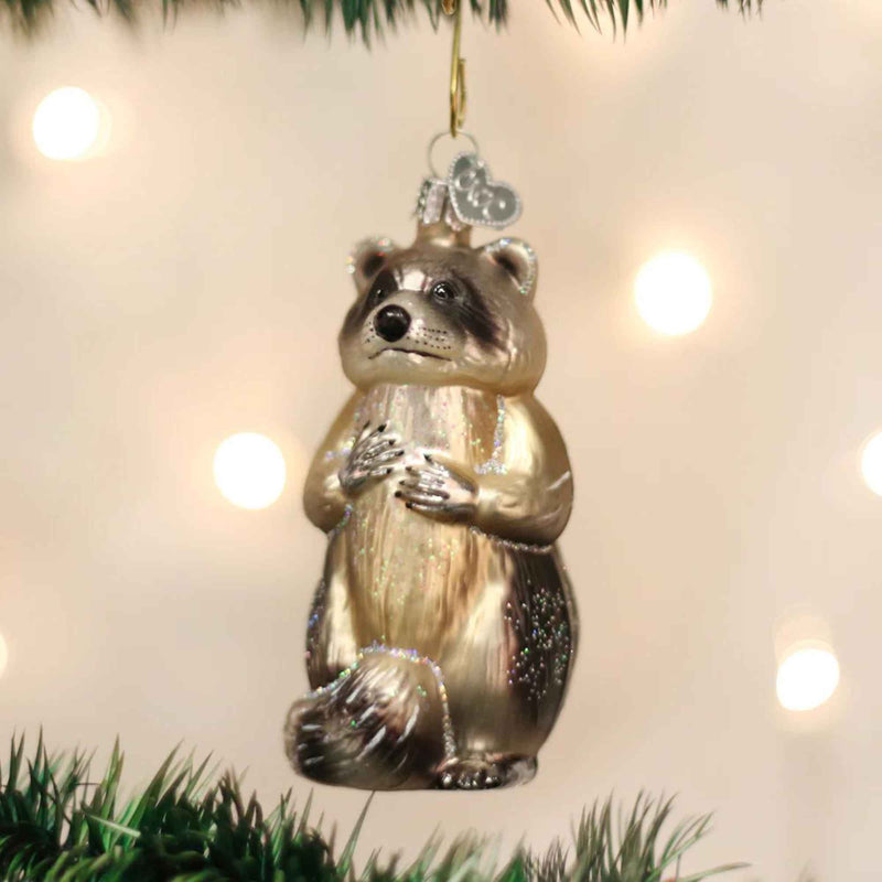 Old World Christmas Raccoon - - SBKGifts.com