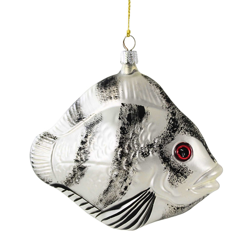 Larry Fraga Designs Angel Fish - 1 Ornament 4.75 Inch, Glass - Ornament Christmas Ocean 9041 (18866)