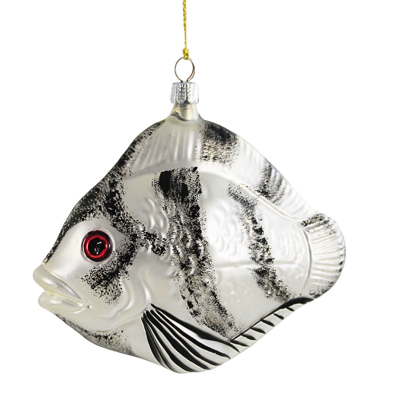 Larry Fraga Designs Angel Fish - - SBKGifts.com