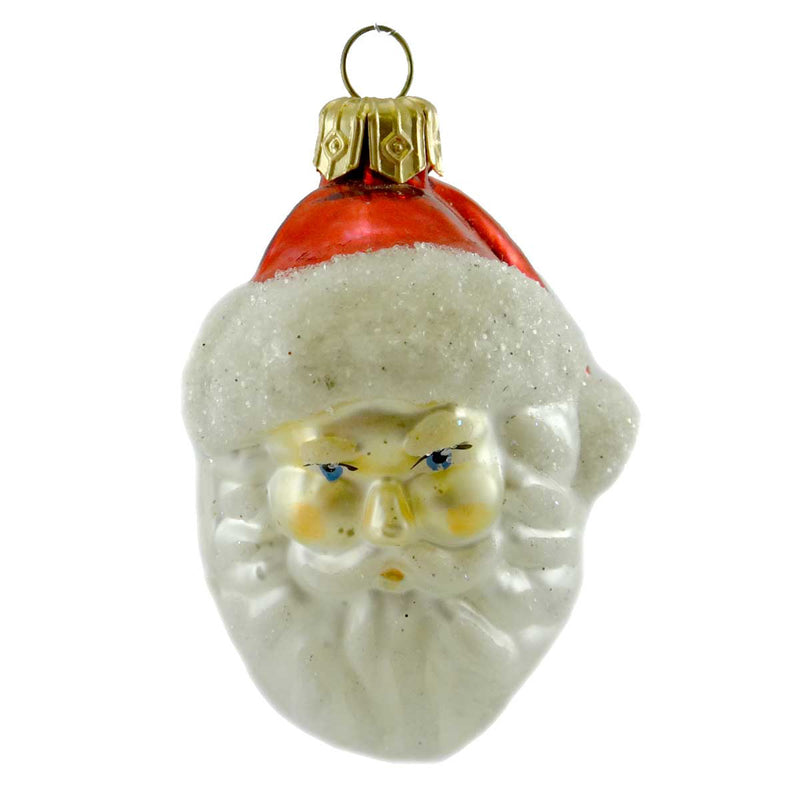 SANTA HEAD