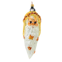 (19739) Christopher Radko Company Santa Cicle, 8.00 Inch, Ornament Woodland Fall Leaves 997120