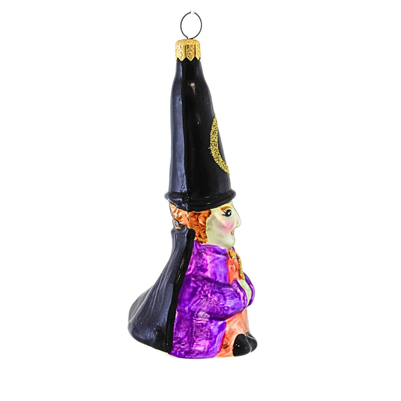 Christopher Radko Company Night Magic - - SBKGifts.com