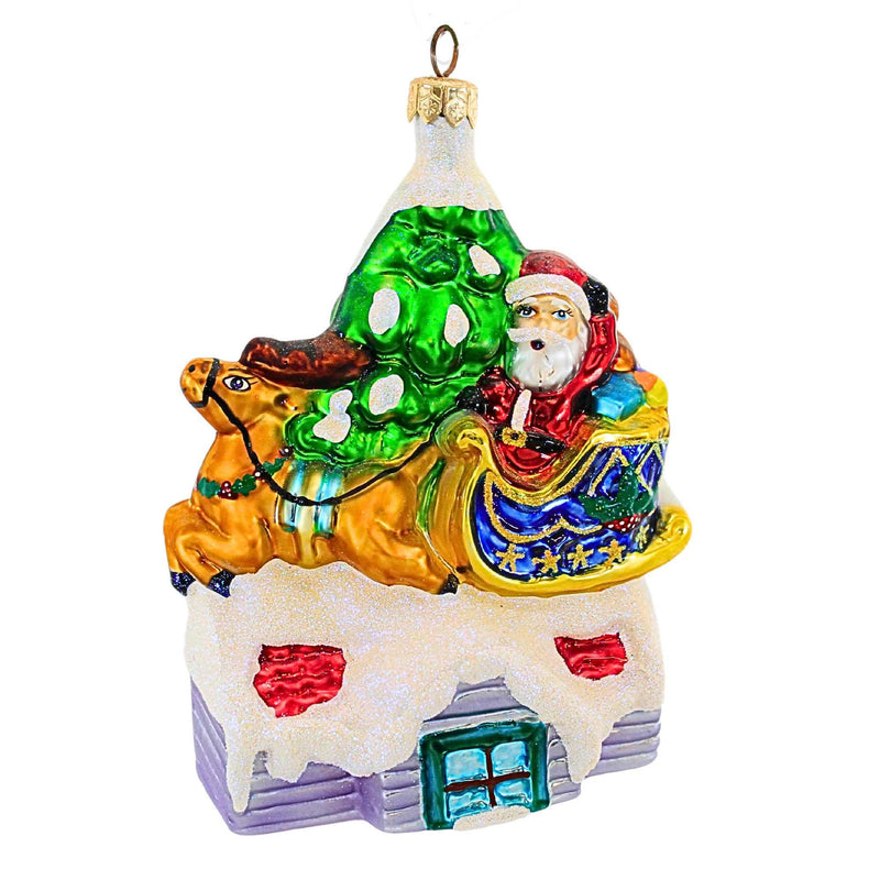 Christopher Radko Up On The Roof Top Glass Ornament Santa Reindeer (19875)