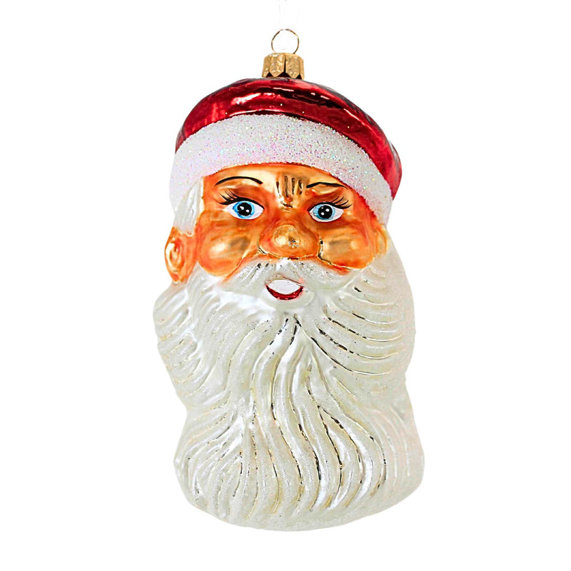 Christopher Radko Winning Smile Glass Ornament Santa Head Christmas (19888)