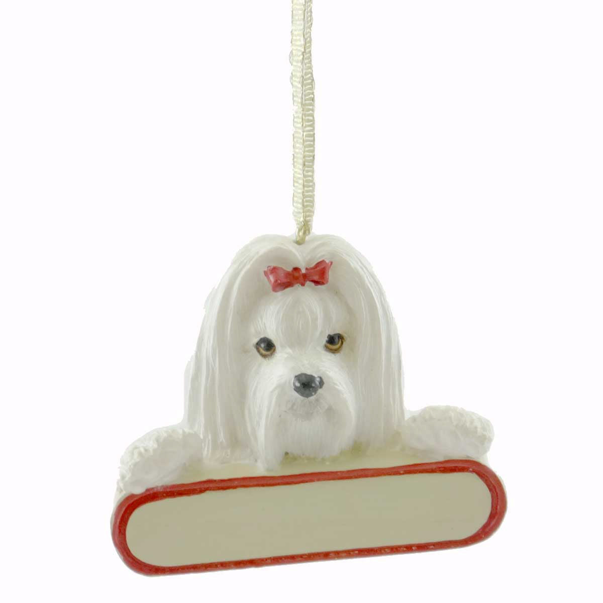 (20900) Maltese