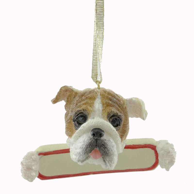 (20908) Bulldog